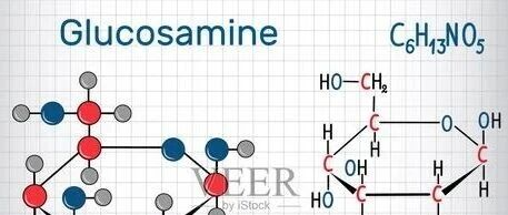 人体不可或缺的营养单位-氨糖
