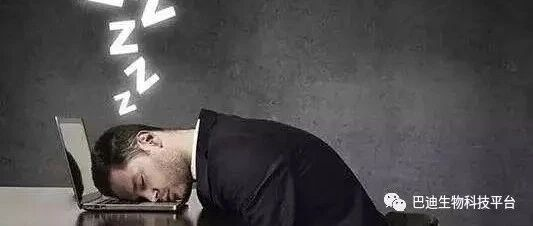 熬夜易导致肠胃问题三款食疗你值得拥有